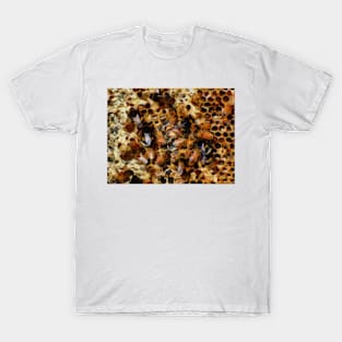 A Sugar Rush T-Shirt